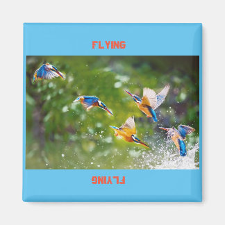 Magnet Flying