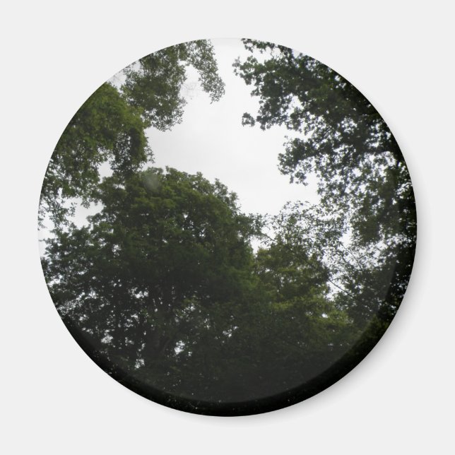 Magnet forestier déplaisant (Devant)