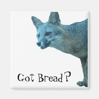 MAGNET FOX
