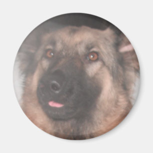 Magnet German Shepherd Sticking Tongue Out