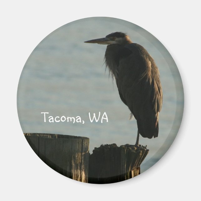 Magnet:  Great Blue Heron Magnet (Front)
