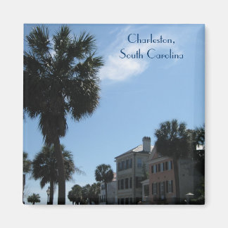 Magnet ~ Historic Downtown Charleston