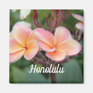 Magnet Honolulu Plumeria