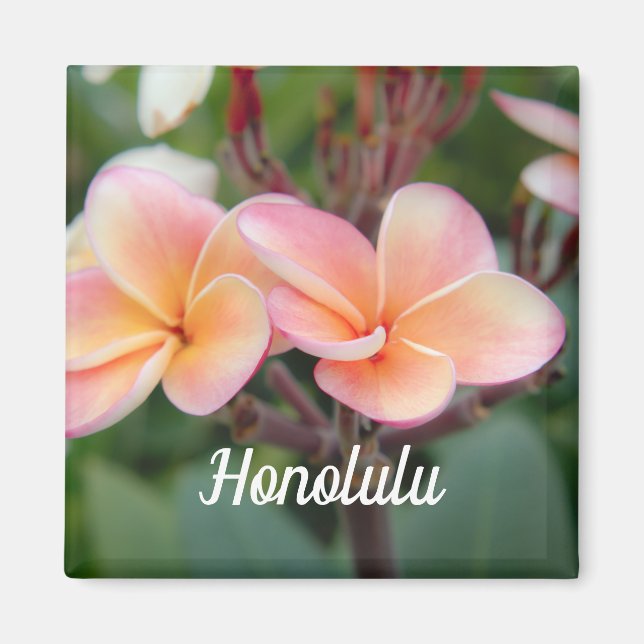 Magnet Honolulu Plumeria (Devant)