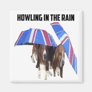 Magnet Howling In The Rain