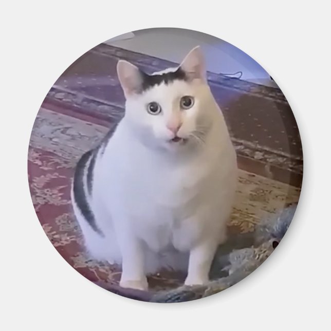Magnet Huh Cat Meme (Devant)