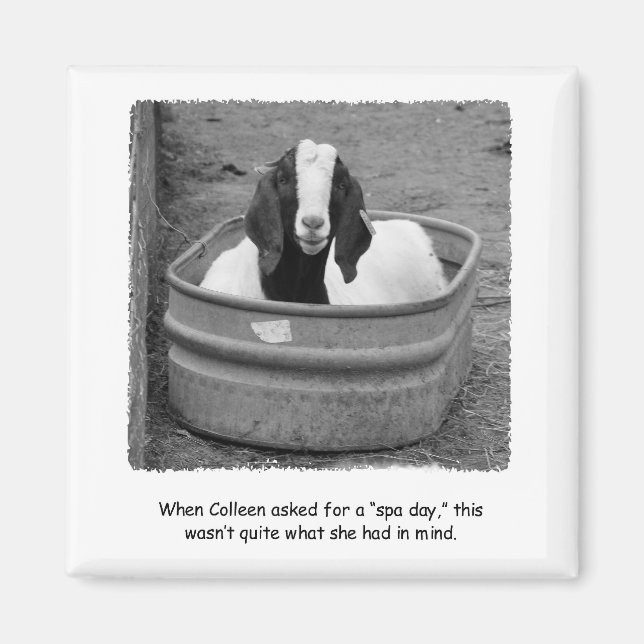 Magnet humoristique du jour du Spa de la chèvre (Devant)