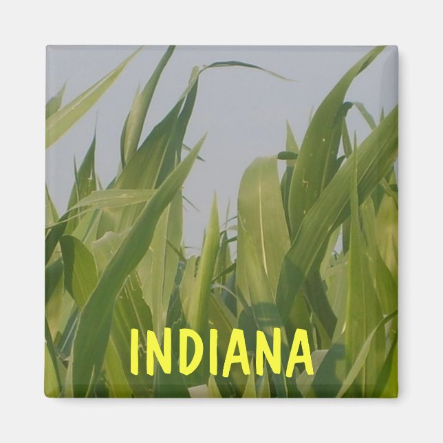 Magnet Indiana (Devant)