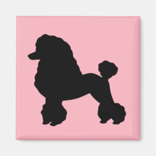 Magnet inspiré de la jupe de caniche rose des ann