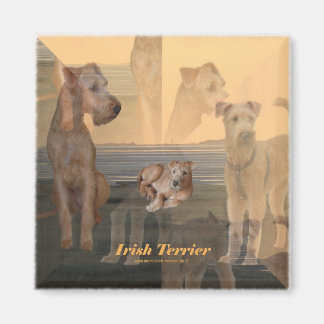 magnet Irish Terrier