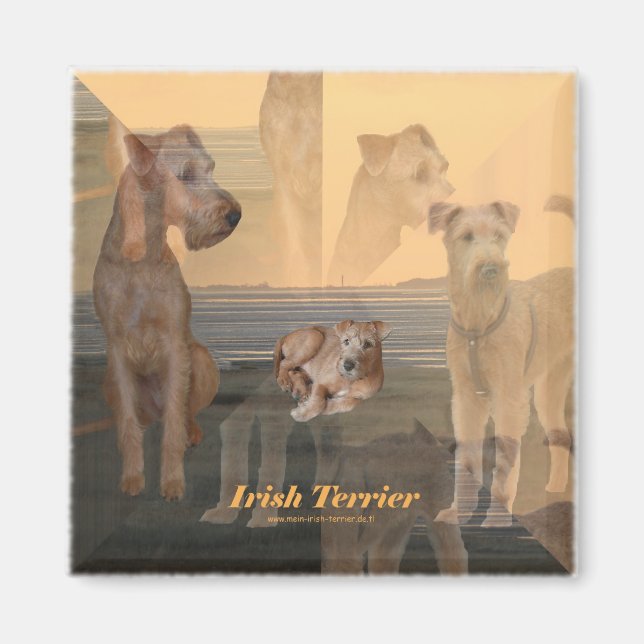 magnet Irish Terrier (Front)