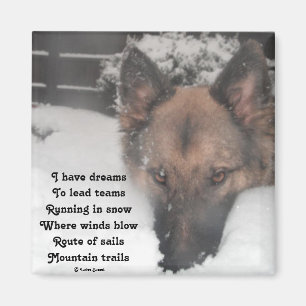 Magnet J'Ai Rêvé Poème Par Ladee Basset