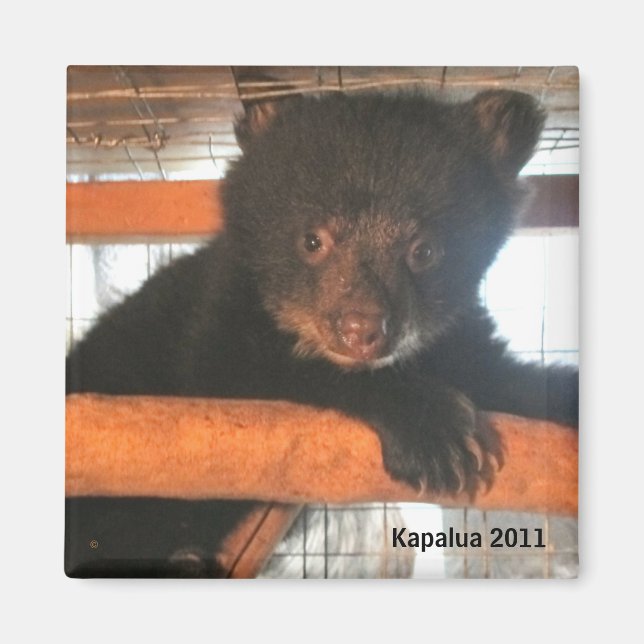 Magnet Kapalua 2011 (Devant)