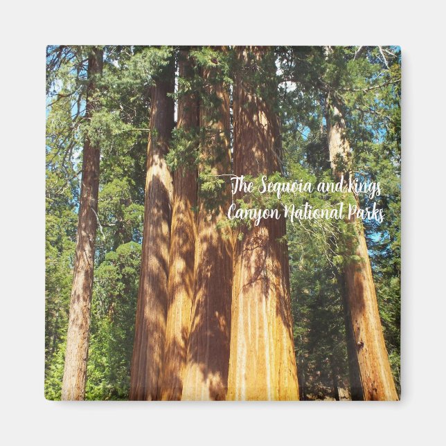 Magnet Les parcs nationaux de Sequoia et Kings Can (Devant)
