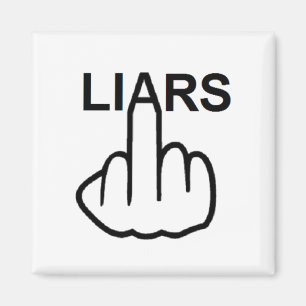 Magnet Liars Flip