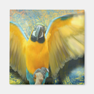 Magnet Macaw