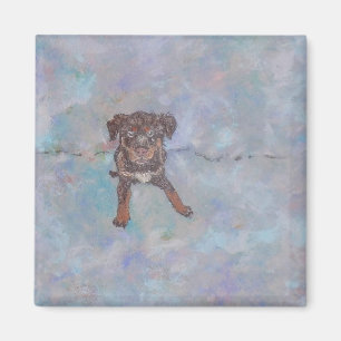 Magnet Mix Lab Adorable