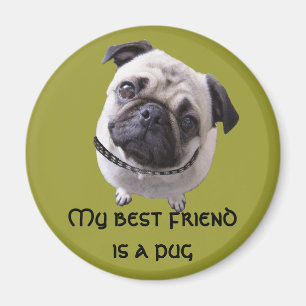 Magnet "Mops"