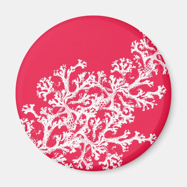 Magnet Motif Coral (Devant)