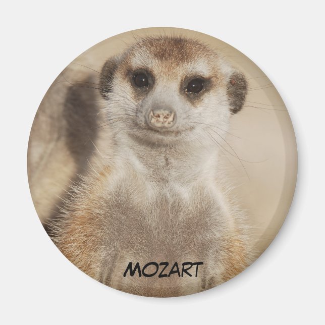 Magnet Mozart (Devant)