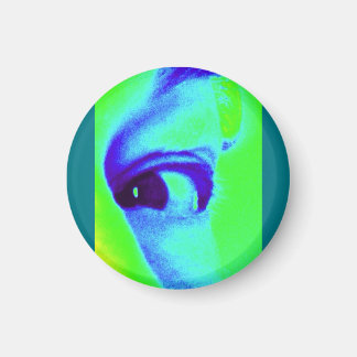 Magnet oculaire