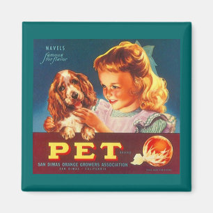 MAGNET ~ ORANGES POUR ANIMAUX - COCKER ESPAGNOL ÉT