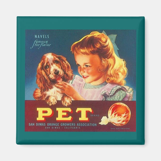 MAGNET ~ ORANGES POUR ANIMAUX - COCKER ESPAGNOL ÉT (Devant)