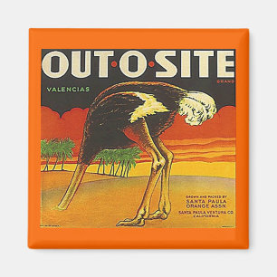 MAGNET ~ OSTRICH ~ OUT-O-SITE Orange VINTAGE ÉTIQU