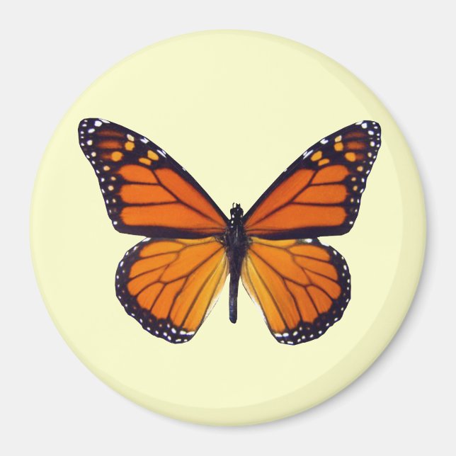 Magnet papillon orange (Devant)