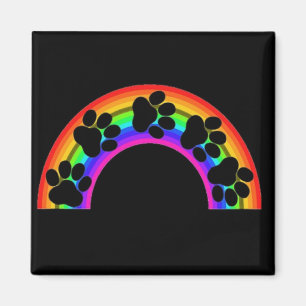 Magnet Paws On A Rainbow