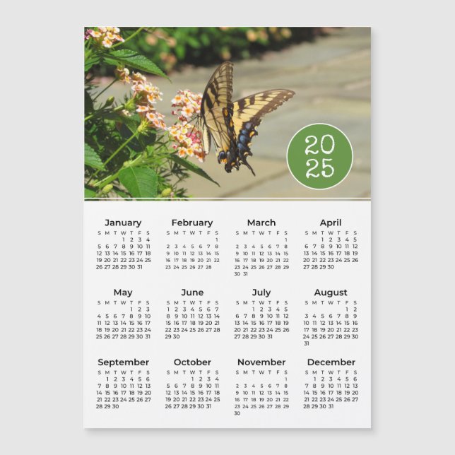 Magnet photo 2025 du calendrier papillon (Devant)