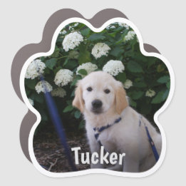 Magnet photo Empreinte de patte de chien personnal