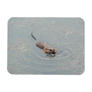Magnet photo flexible pour bébé muskrat