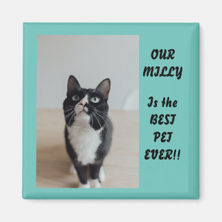 Magnet photo personnalisé meilleur animal de compa
