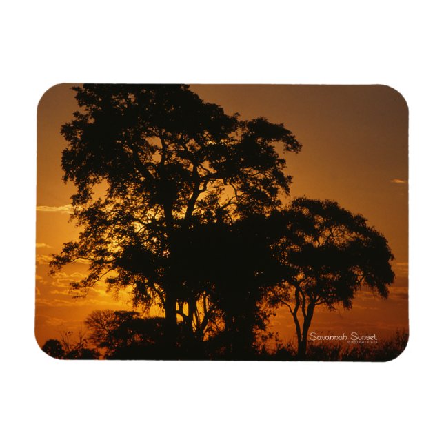 Magnet photo Savannah Sunset (Horizontal)