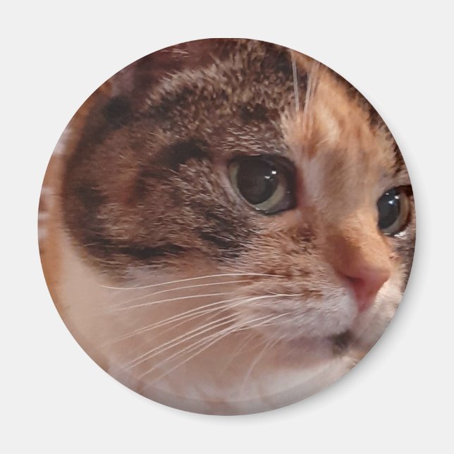 Magnet Pin (Devant)