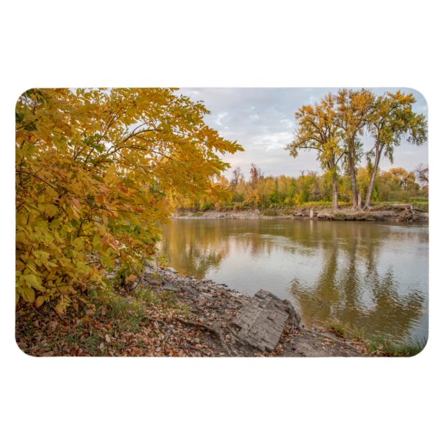 Magnet plat 4x6 (Horizontal)