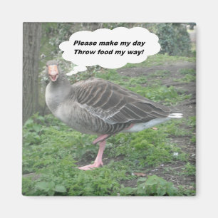 Magnet Poem Duck Citation Ladite Basset