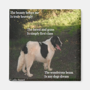 Magnet Poem N'Importe Quel Chien Rêver Ladee Basse