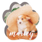 Moderne Rustique Simple Personnalisé Photo Pet