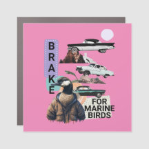 Oiseaux marins