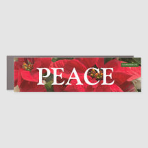 Poinsettias et le Magnet de voiture de paix