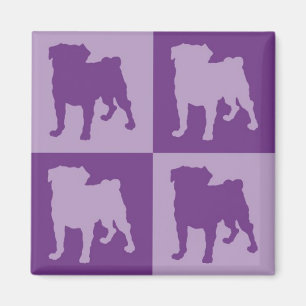 Magnet pourpre de carlins