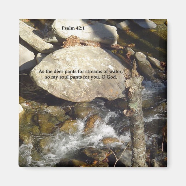 Magnet : Psaume de ruisseau (Devant)