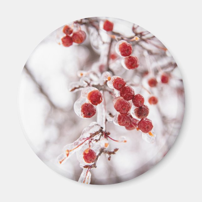 Magnet rond (Devant)