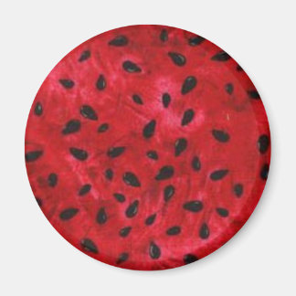 Magnet rond