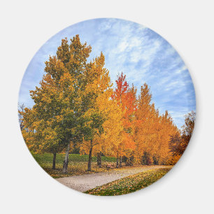 Magnet rond