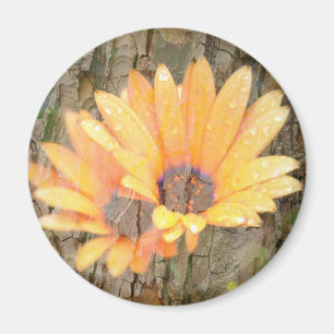 Magnet Rond Fleur Jaune – Photographie de Nature