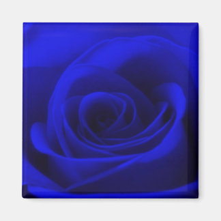 Magnet Rose bleu minuit