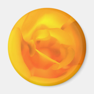 Magnet Rose enchaîné